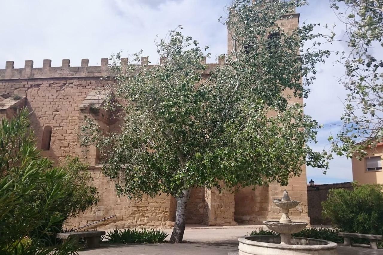 La Gatera 1D Bajo Aragon - Matarrana Lägenhet Fabara Exteriör bild